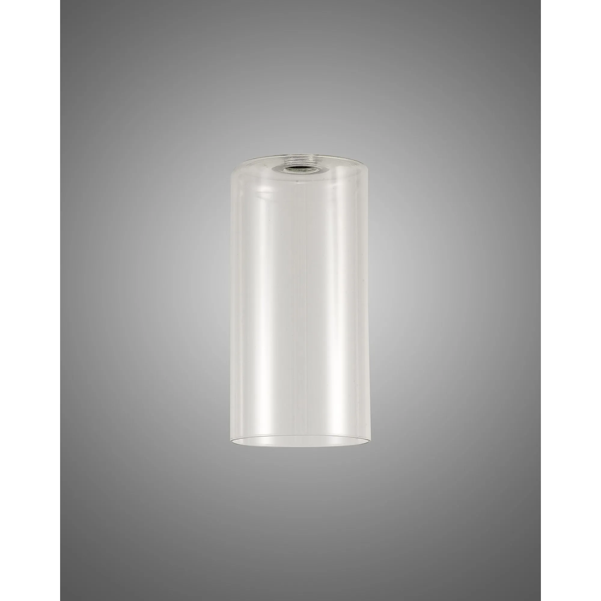 Nelson Lighting NL76269 Iona Shade Clear